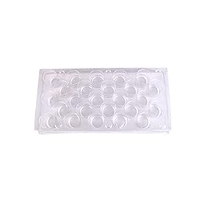 Abhishek-Enterprises-25-Compartment-Clear-Transparent-Nail-Polish-Makeup-Brush-Eye-Liner-Lipsticks-HolderOrganizer