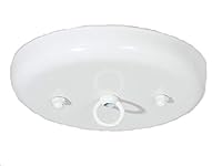 Algopix Similar Product 8 - BP Lamp 5 14 Inch Steel Canopy Kit