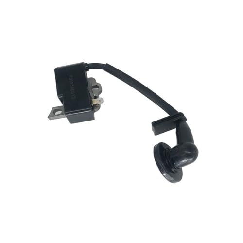 Bobina de encendido para solucionar fallos de arranque en PS 350 6