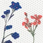 HARD Mascherine FFP2-5 pezzi| Prodotto in Germania...