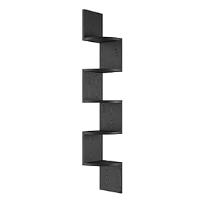 GREENDEW 5-Tier Wall Mount Radial Floating Corner Shelf, Wood Display Storage Shelves for Home Office Decor (Black)