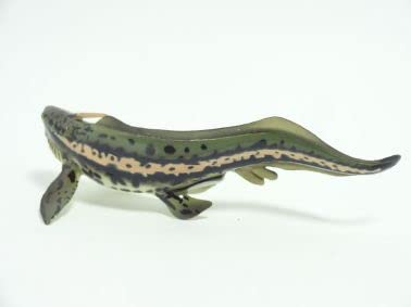 Amazon | UHA味覚糖 チョコラザウルス 恐竜・古代生物フィギュア