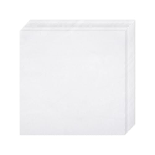10 PCS Embroidery Fabric, Pre-Cut White Natural...