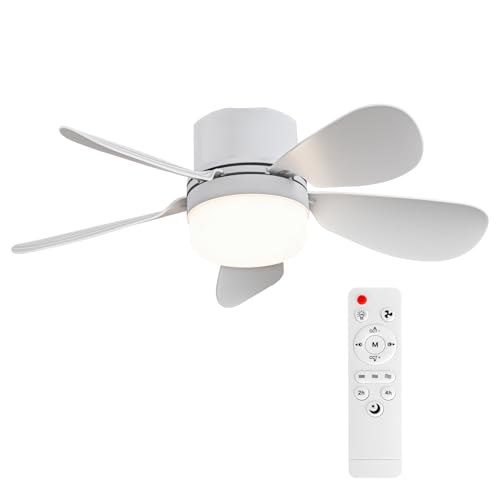 ASALL Socket Breeze Socket Fan Light with Remote Control