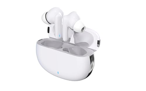 Introducing the 2302BTD TWS Digital Bluetooth Hearing Aid