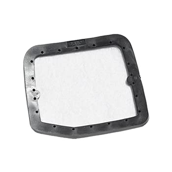 Amazon.com: Echo Element, Air Filter Part # A226001390 : Patio  