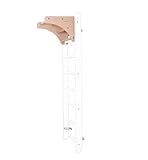 Swedish Ladder 100 (Pullup Bar)