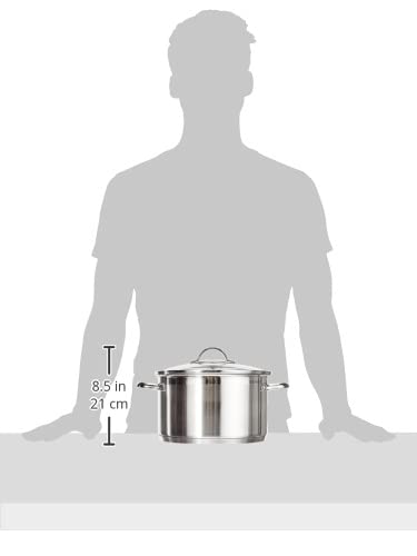 Amazon.com: Silit Achat High Casserole with Lid, Silver, 24 cm  