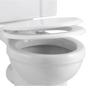 Burlington Soft Close Toilet Seat Gloss White Carbamide