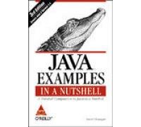 Amazon.com: Java Examples In A Nutshell: 9788173668630: David Flanagan ...