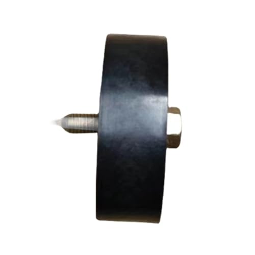 Solución a ruidos de alternador con tensor 575160 para Xsara 4