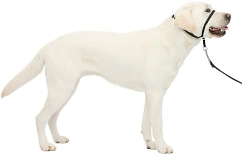 PetSafe Gentle Leader No-Pull Dog Headcollar - The Ultimate Solut...