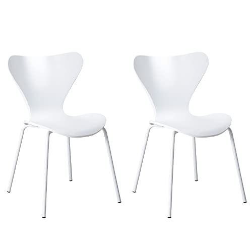 _CjO`FA v_Ng X^bLO`FA fUCi[Y Zu`FA AlERuZ (zCg, 2)