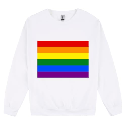 Pull Gay Pride homme multicolore idéal pour vos défilés et soirées engagées