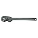 Friction Type Ratchet with Ring Size: 50mm
