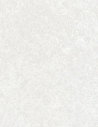 Wilsonart Laminate 4168-60, Grey Pampas, Matte Finish, 60inX144in