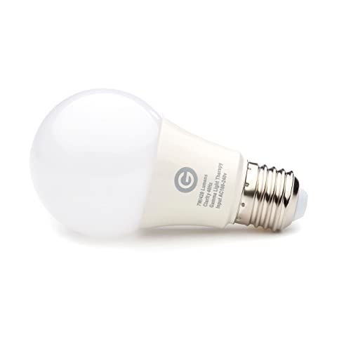 Gamma Clarity 40 Hz Meditation Light Bulb #TOP2