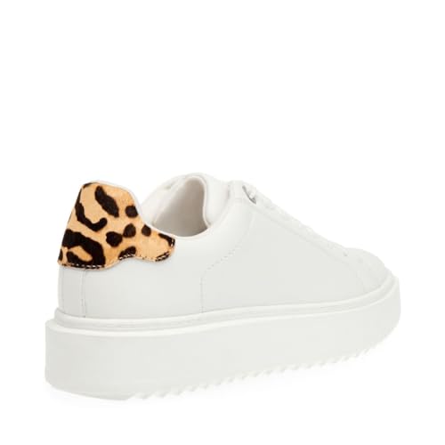 Steve Madden Steve Madden Women's Charlie Sneaker, Leopard, 9.5