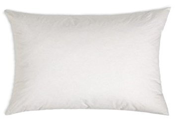 MoonRest Premium Square White Pillow Insert Form with Hypoallergenic Polyester Fiber Filling, sham Stuffer for Sofa Throw - 13 x 19 Inches