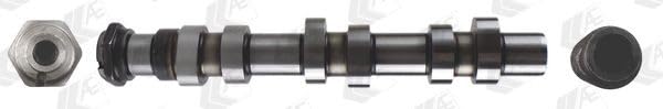 AE Albero a camme CAM932