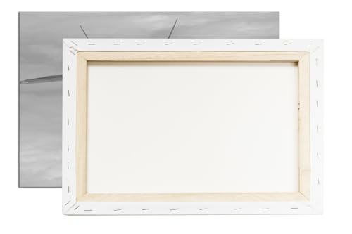 Jet militaire tableau mural sans déformation cadre bois véritable 90x60