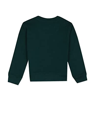 Image of U.S. POLO ASSN. UKSWSON0109 FS Round NCK SWS, L Sweatshirts Dk. Green