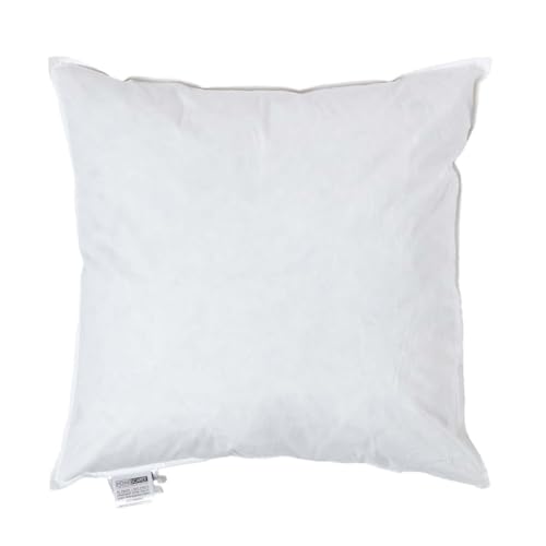 HOMESCAPES Coussin de garnissage en Plumes de Canard et Coton, Coussin à recouvrir 50x50 cm