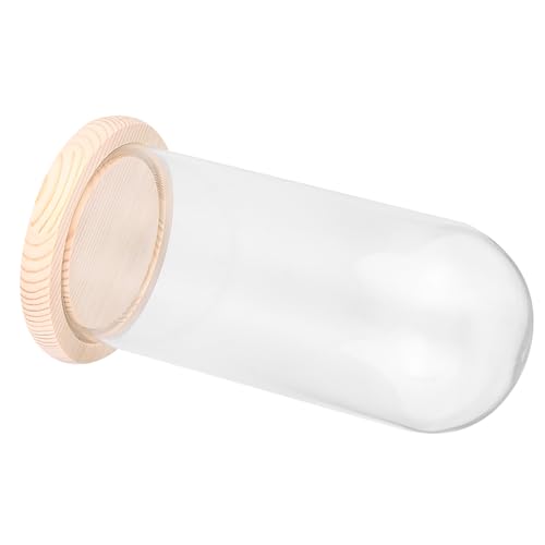 Cúpula de cristal transparente con base de madera portátil de 9x24cm para casa 2