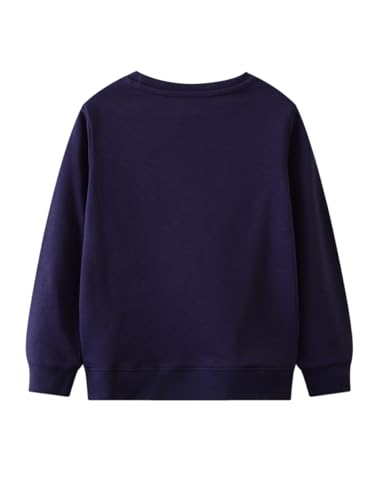 Boys Sweatshirts Casual Sweatshirts Cotton Sweatshirts Long Sleeve T-shirts Crew Neck Cartoon Tops for Boys-1062