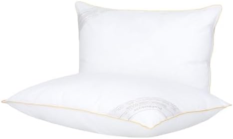 Buddemeyer Kit Travesseiro 50x70cm Toque de Pluma Algodão Branco ...