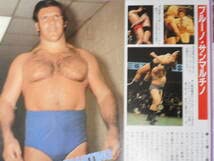 Amazon.co.jp: 週刊ゴング増刊号 THE WRESTLER BEST1000 カール