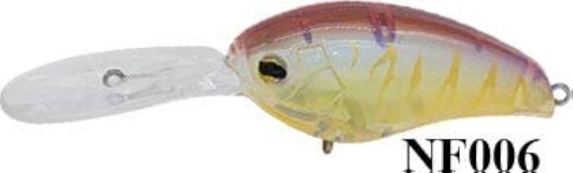 Fishing Hard Protein Crank Baits for Tackle