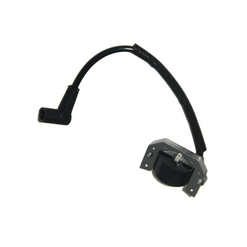 Pièce d'allumage pour moteur thermique de tondeuse FH491V et module 21171-7035