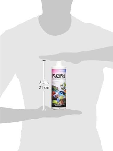 Amazon.co.jp: Pet Faves Hikari USA AHK73256 水槽用プラジプロ 16 