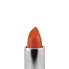 Palladio Herbal Lipstick, Rich Pigmented and Creamy, Infused with Aloe Vera, Chamomile & Ginseng, Prevents Lips from Drying, Combats Fine Lines, Long Lasting Lipstick, Golden Orange