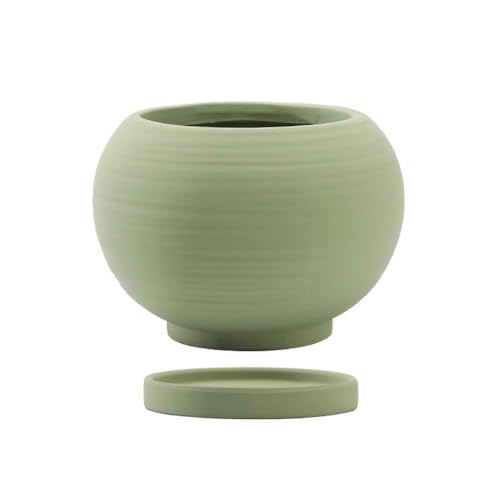 IWEJ fĂAؔ L TCY  󂯎Mt rt ʋC k O ϗtA//n[up v^[ (Small,G)