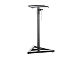 Monoprice Stage Right Series Speaker Stand (625870)