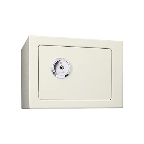 Structure en acier robuste pour ce coffre de rangement de haute valeur