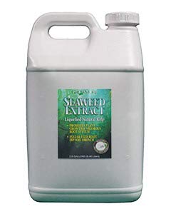 Image of Grow More 6057 Seaweed Extract 11%, 2.5 Gallons