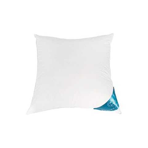 Sandaro Home Kopfkissen Gänsedaunen Daunenkissen Kissen Daunen 100% Naturprodukt Cover
