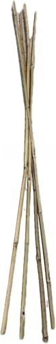 Farm Plastic Supply - Bamboo Garden Stakes - Bambo Sticks Bamboo Plant Stakes for Outdoor Plants Plant Support Stakes for Indoor Plants (4 Foot 5)