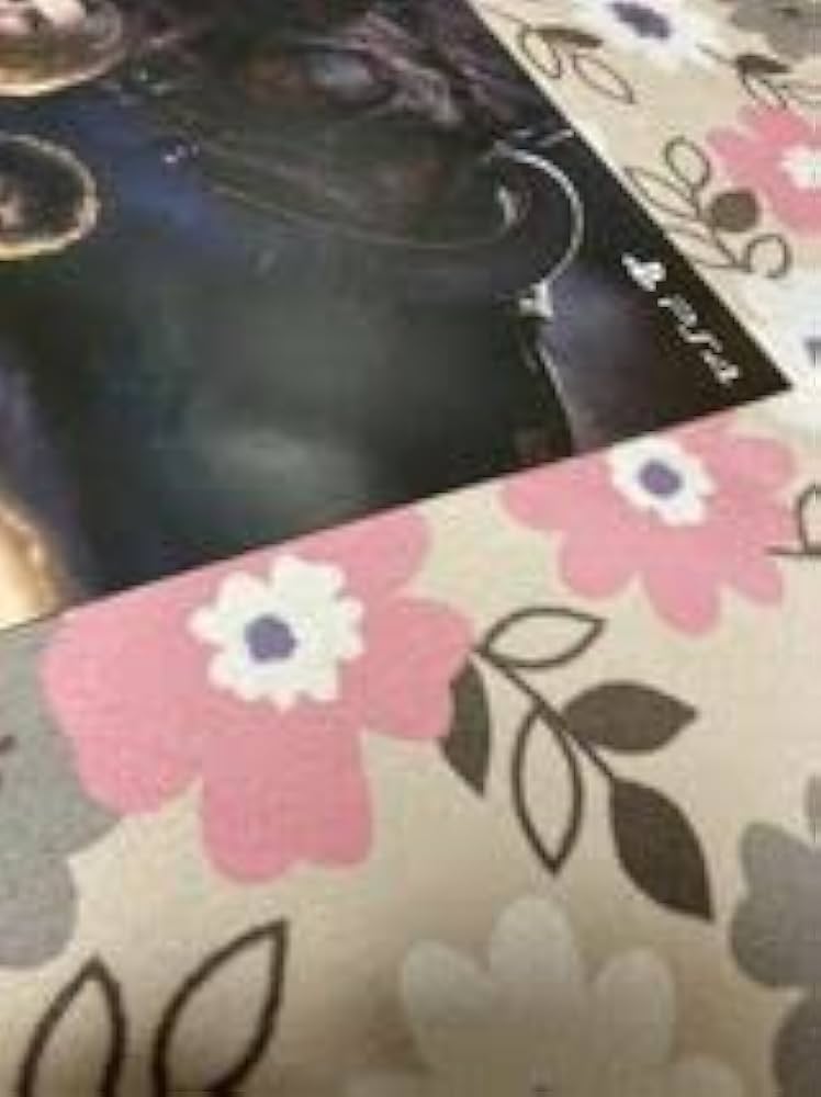 【最安値！】バイオハザードRE:3 店頭促進用 B2ポスター 額装付き Amazon.co.jp: バイオハザードRE:3 販促ポスター 販促 ポスター