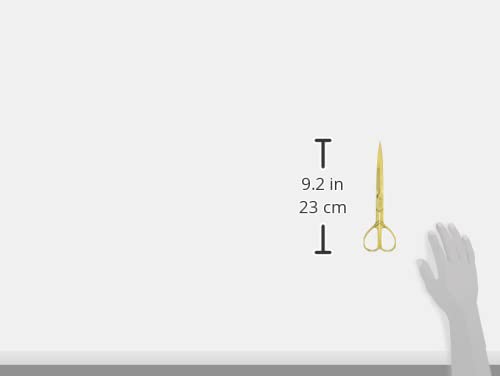 Amazon.co.jp: ドイツ製 Birman・Monopol(バーマン・モノポール