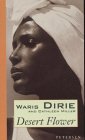 Desert Flower. Engl. Ausgabe. 3883891398 Book Cover
