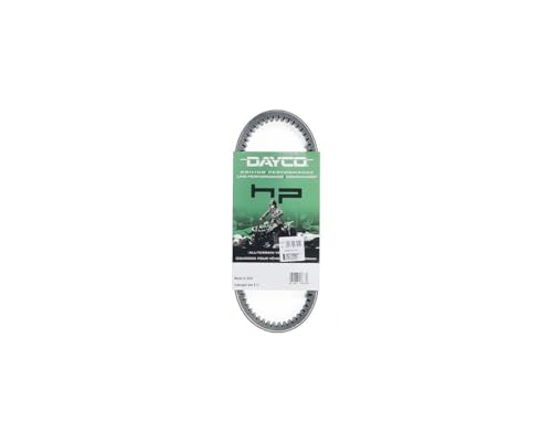 Courroie Distribution Dayco TBWP945321 Pompe à Eau Kit Pièce Auto Moteur