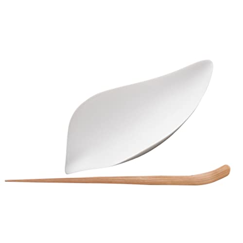 BIUDECO Ceramic Tea Scoop Set Chinese Tea Service Tools Porcelain Tea Scoops for Loose Te