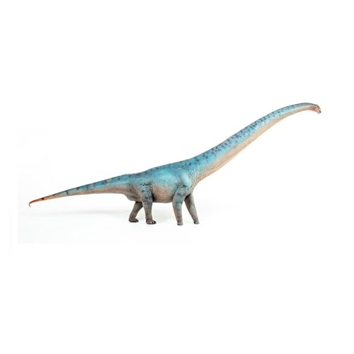 Mamenchisaurus Dinosaur Modèle AMITD 1:35 figurine éducative et poupée préhistorique bleue