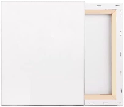 Amazon | F3 2枚 セット キャンバス 張りキャンバス キャンバス画材 