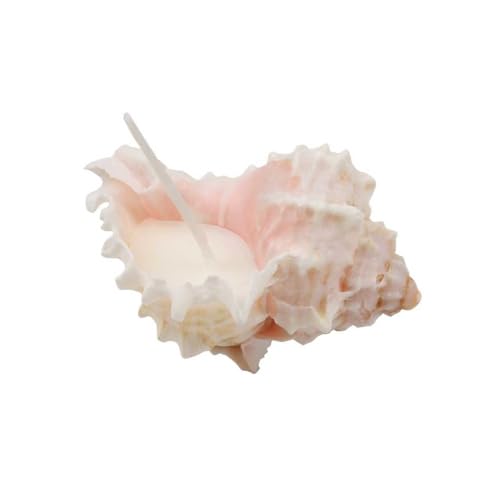 Bougie en cire de soja coquillages petit murex rouge fait main