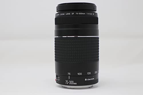 Canon EOS 5D Mark IV DSLR con lentes y accesorios miniatura 7
